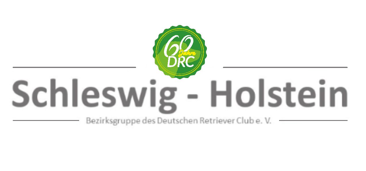 DRC BZG Schleswig-Holstein
